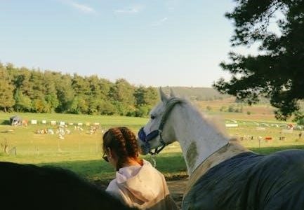 guide a horse crossword clue