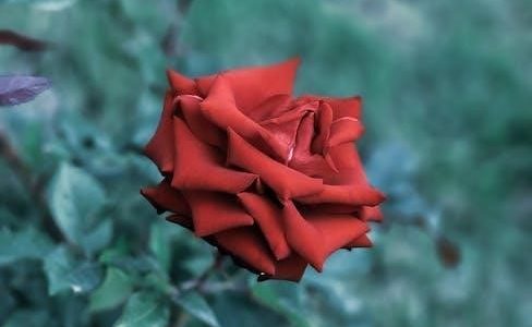 fe3h gardening guide
