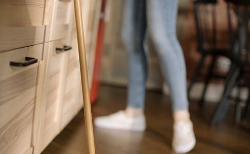 how to keep house pdf