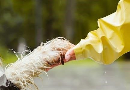 2016 lx crv owners manual