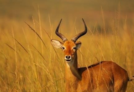 mémoire secondaire 4 corrigé pdf