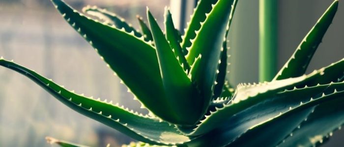 howard miller accuwave ds manual