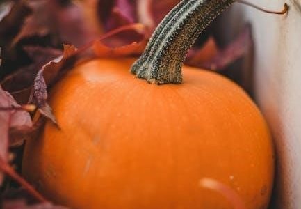 thanksgiving reading comprehension worksheets pdf